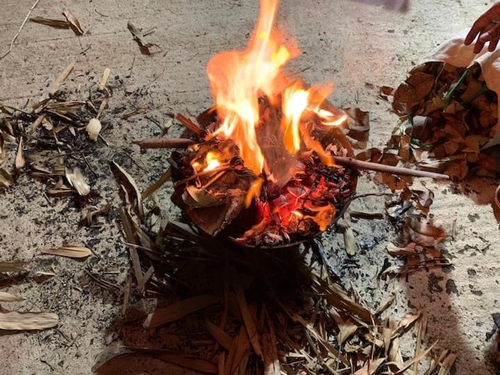 Sattva Farmstay 벵갈루루 외부 사진