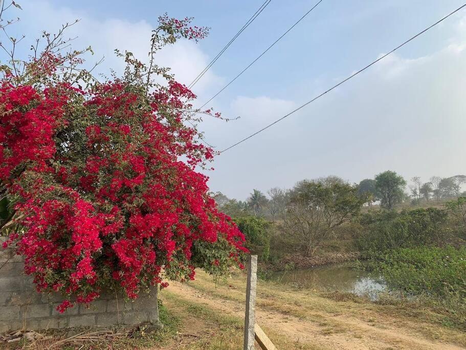 Sattva Farmstay 벵갈루루 외부 사진