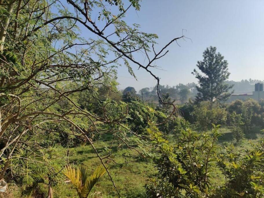Sattva Farmstay 벵갈루루 외부 사진